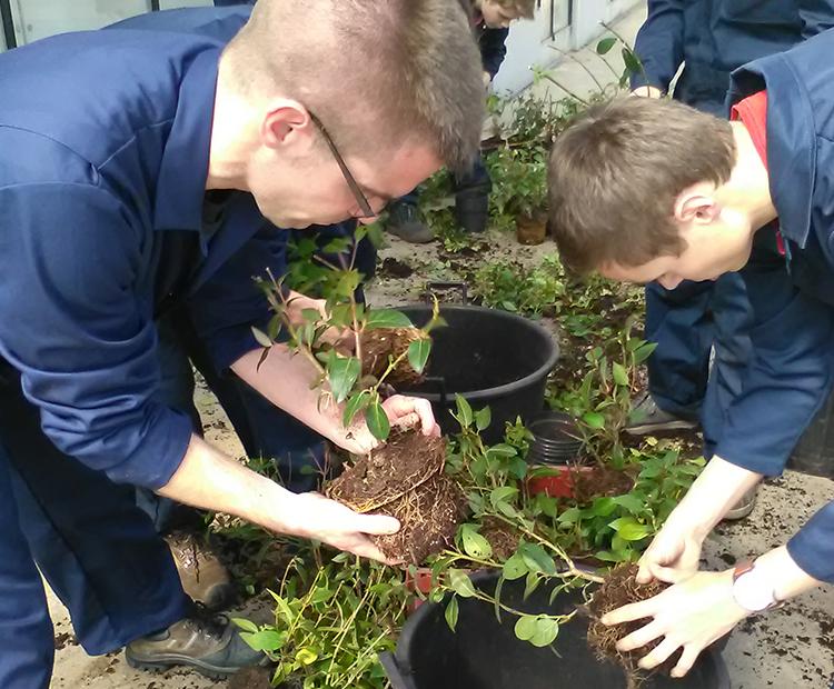 Stage van de opleiding Inclusief voortgezet onderwijs